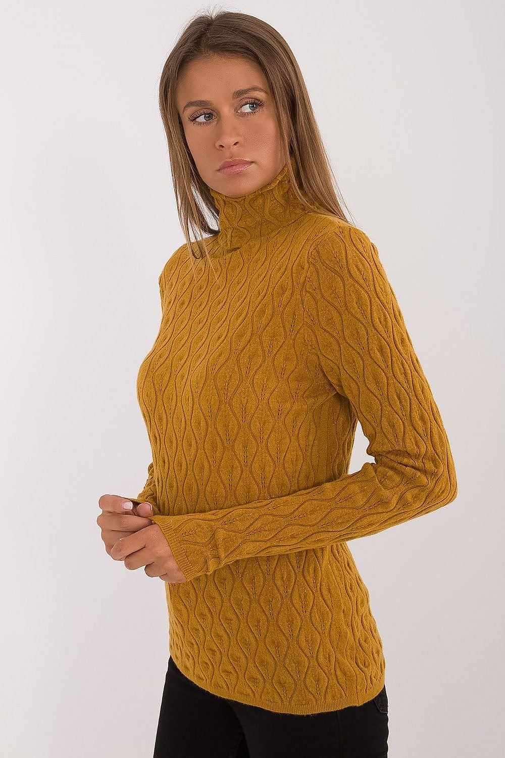 Turtleneck model 203195